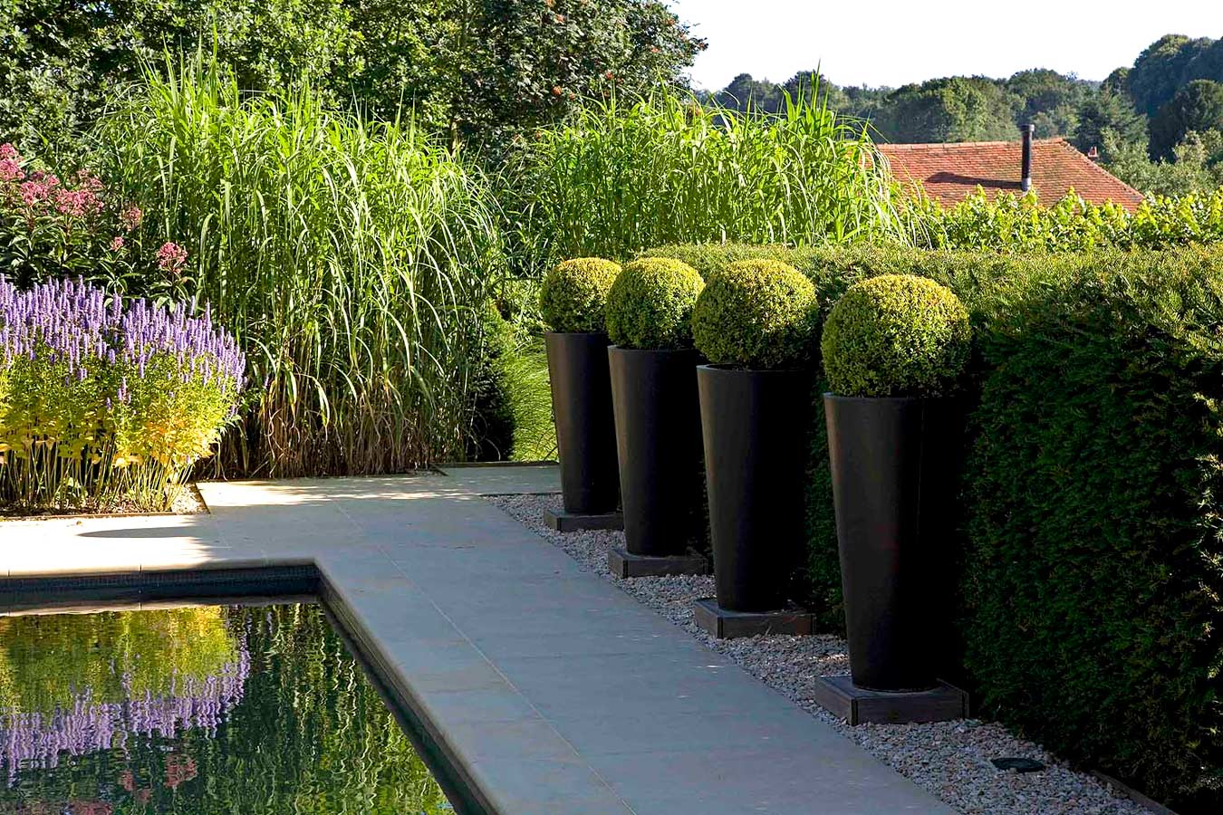 Anthony Paul Landscape Design